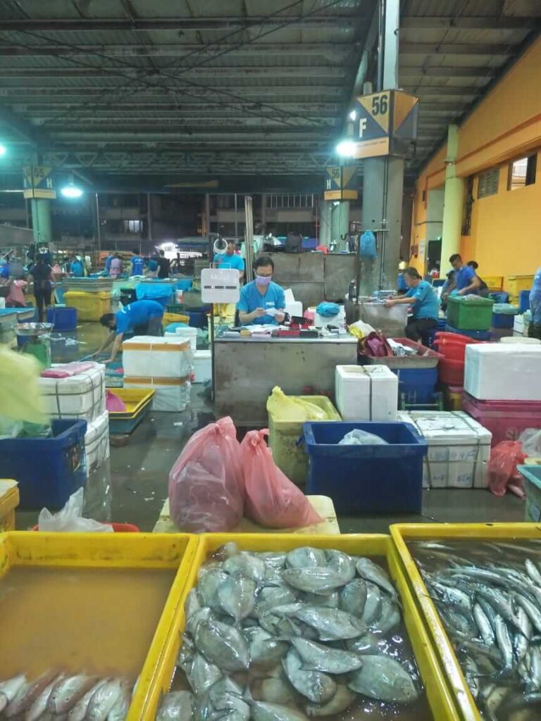 Pembekal Ikan Segar Riffiniaga